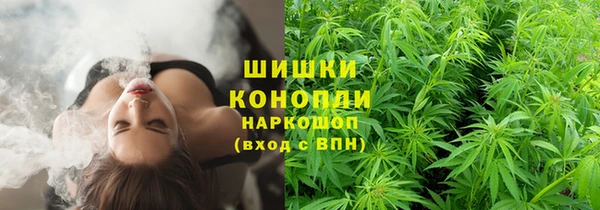 спайс Козельск