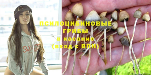 соль курить ск Козловка