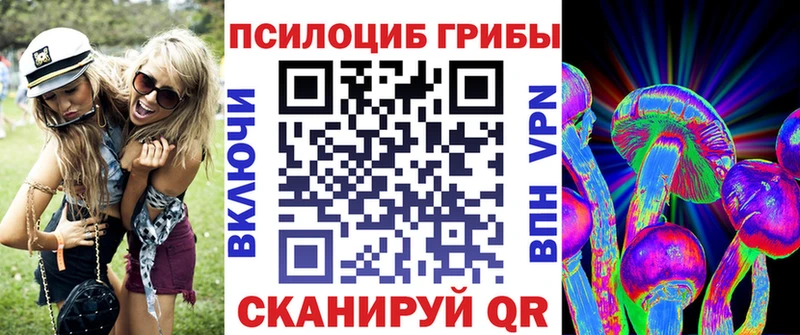 наркотики Котово Галлюциногенные грибы мицелий